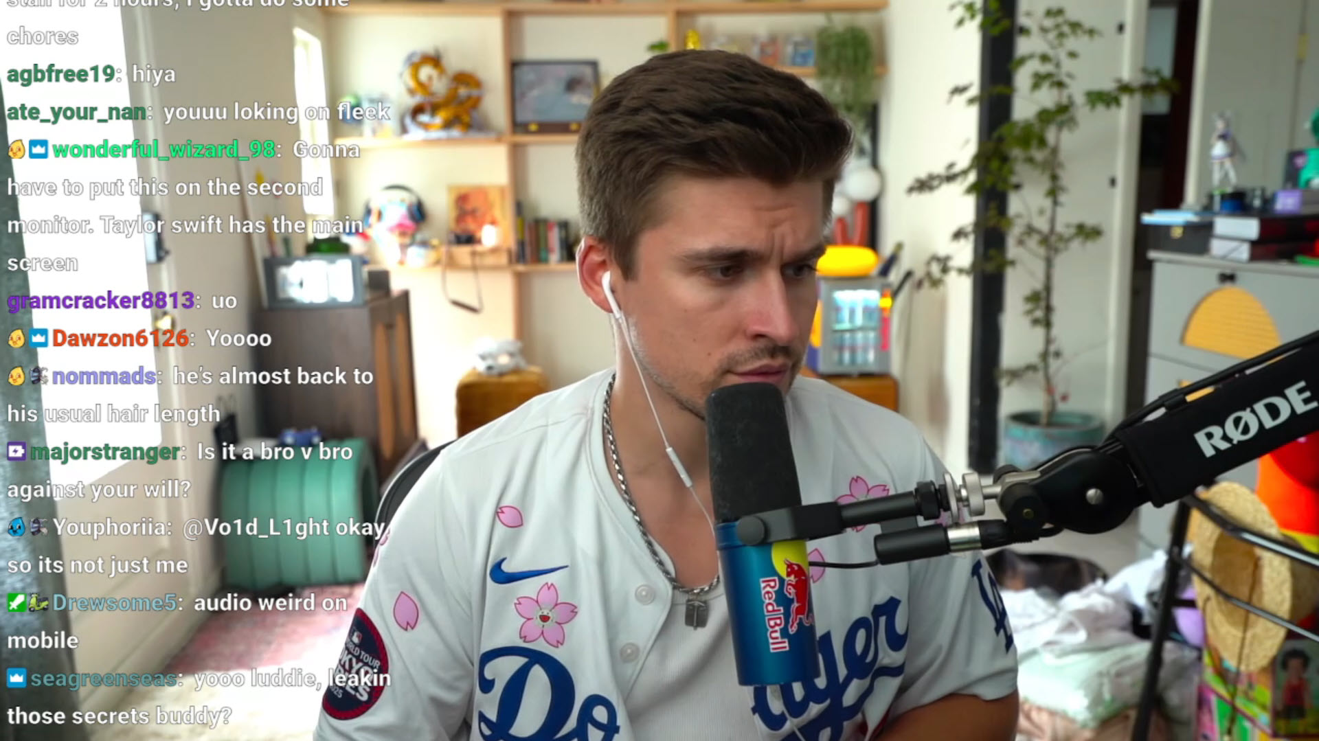 Stream Example Ludwig.jpg